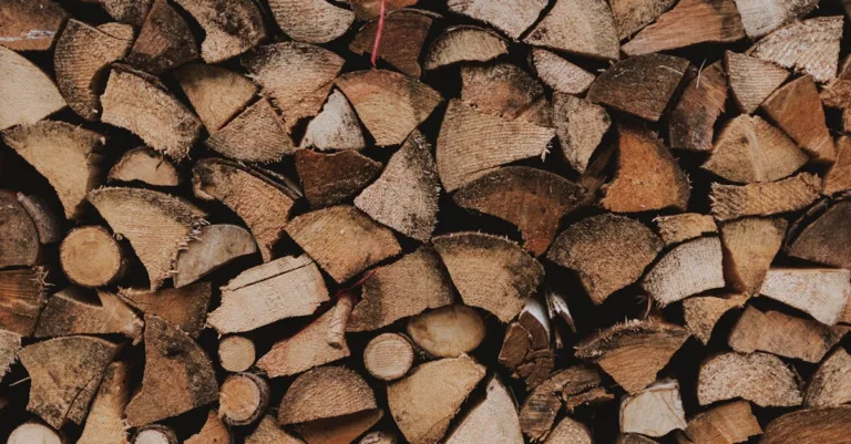 découvrez le bois de chauffage albizia, un combustible naturel et efficace pour un feu chaleureux et durable.