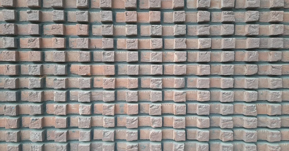 découvrez bruno caloone, un expert passionné reconnu pour son savoir-faire unique et son engagement professionnel. explorez son parcours, ses réalisations et ses contributions dans son domaine.