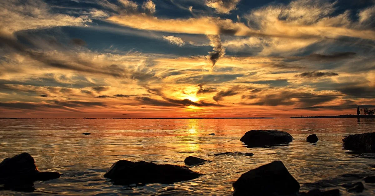 découvrez cereria, votre artisan spécialisé dans la fabrication de bougies artisanales de qualité, alliant tradition et créativité pour illuminer vos moments.