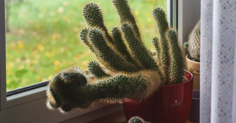 découvrez notre dessous de plat décoratif en jesmonite, alliant élégance et résistance pour sublimer et protéger vos surfaces avec style.