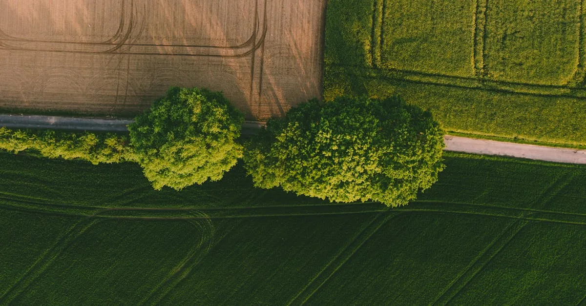 découvrez tout ce qu'il faut savoir sur les propriétaires fonciers : droits, responsabilités et gestion de terrains.