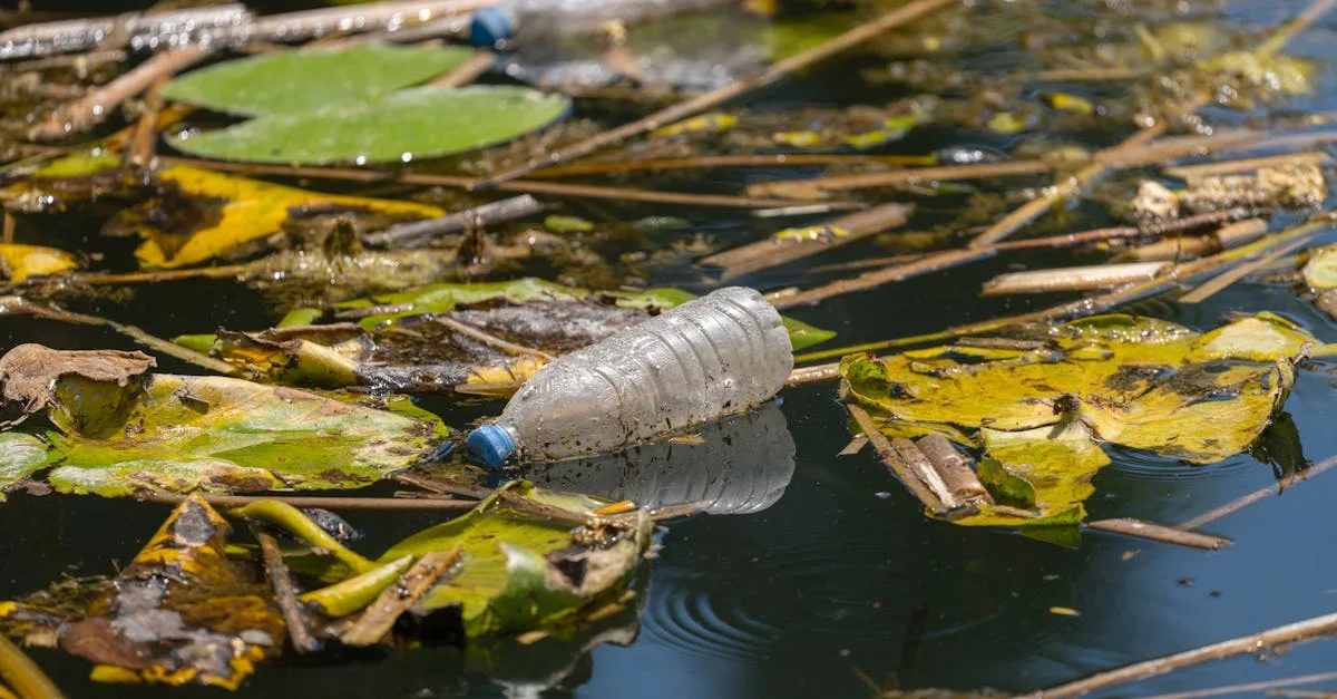 découvrez les risques et les causes de la contamination de l'eau en bouteille, ainsi que les mesures pour garantir une eau potable saine et sécurisée.
