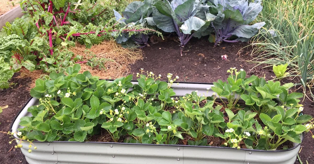 découvrez comment concevoir un jardin comestible alliant esthétique et productivité pour cultiver vos propres légumes, fruits et herbes aromatiques chez vous.