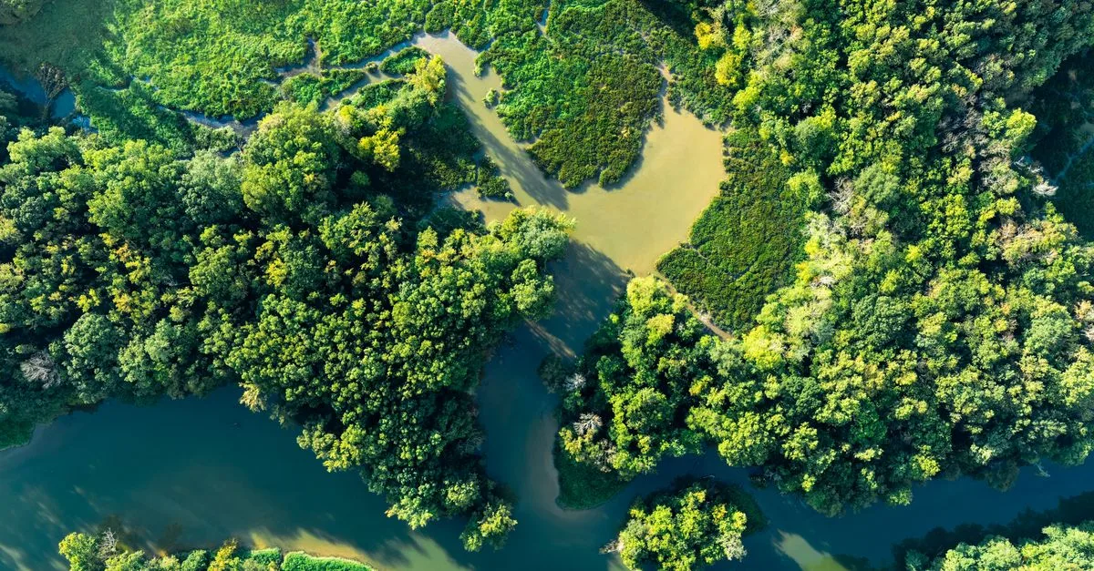 découvrez les réglementations environnementales visant à protéger la nature et assurer un développement durable pour les générations futures.