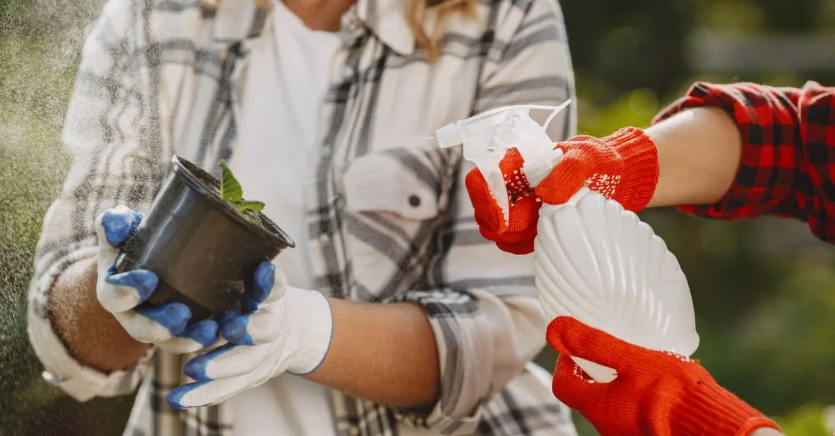 découvrez des conseils pratiques et des astuces pour réussir votre jardinage, que vous soyez débutant ou expert, et créez un espace extérieur florissant.