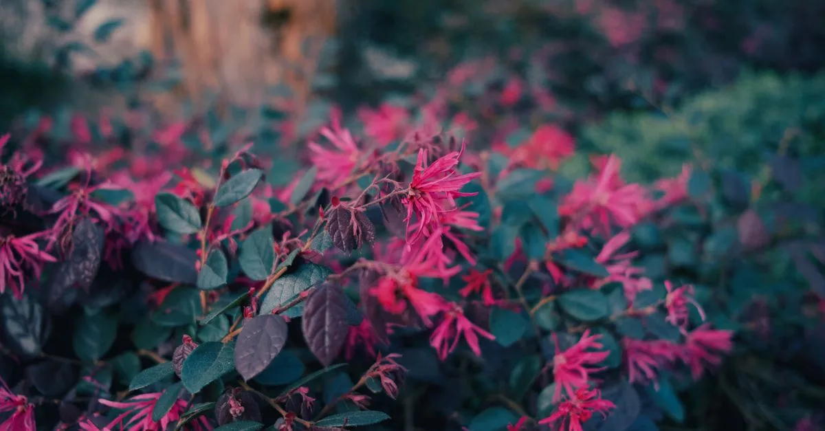 découvrez des arbustes à fleurs nécessitant peu d'entretien, idéaux pour embellir votre jardin facilement et durablement.