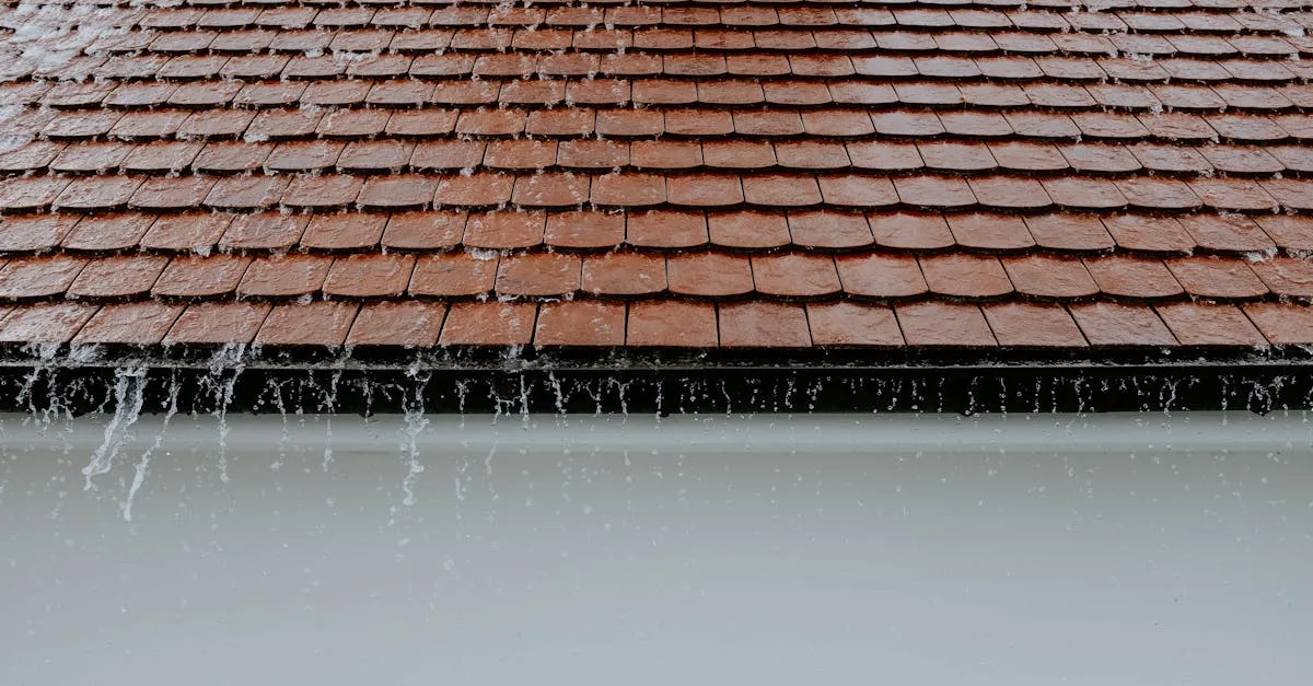 découvrez les techniques efficaces de collecte des eaux de pluie pour économiser l'eau, réduire les factures et protéger l'environnement grâce à des systèmes durables et simples à installer.