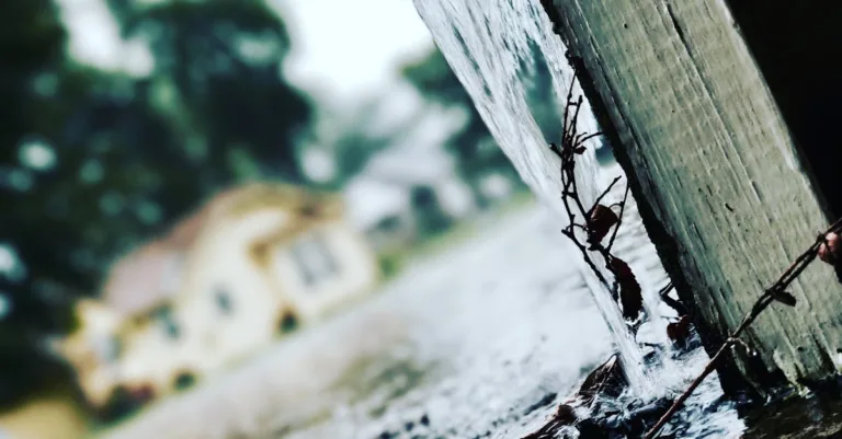 découvrez les techniques de collecte et de gestion des eaux de pluie pour économiser l'eau et protéger l'environnement grâce à la récupération des eaux pluviales.