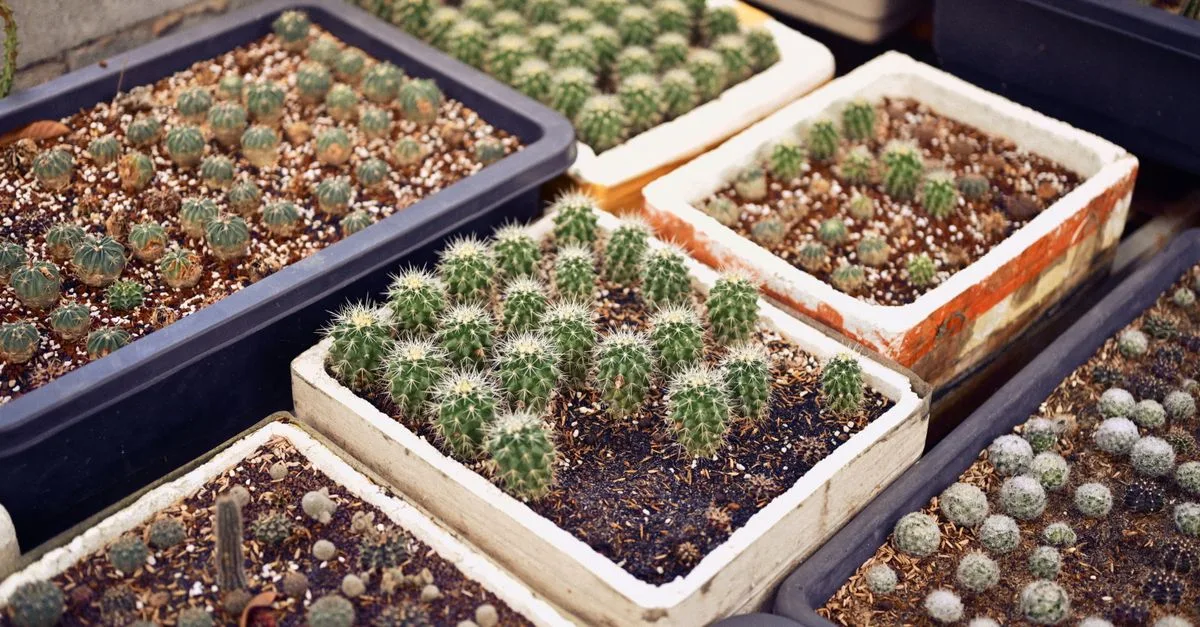 découvrez des idées et conseils pour aménager un petit jardin pratique et esthétique, optimisez l'espace avec un design adapté à vos besoins.