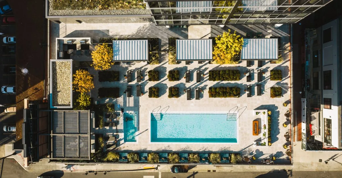 découvrez les arbres à éviter près de votre terrasse ou de votre piscine pour préserver votre espace extérieur des feuilles, racines envahissantes et autres désagréments.