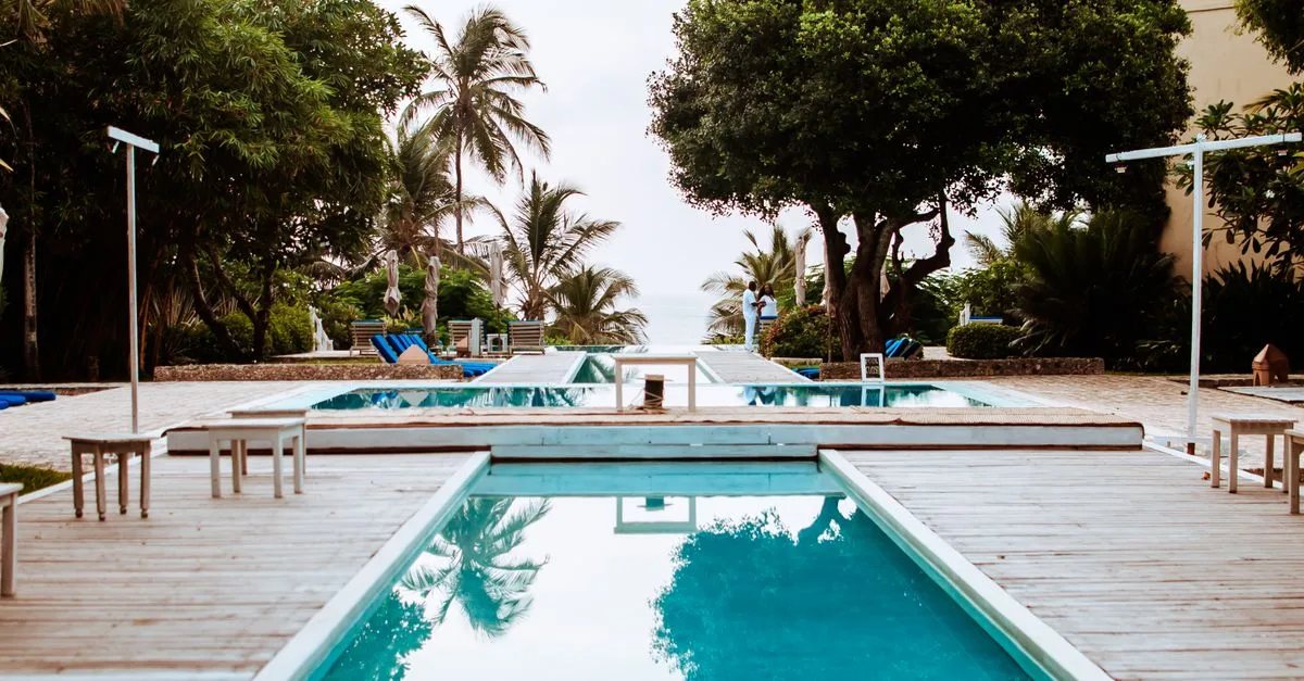 découvrez quels arbres éviter de planter près d'une terrasse ou d'une piscine pour prévenir les risques liés aux racines, aux feuilles tombantes et à l'entretien.