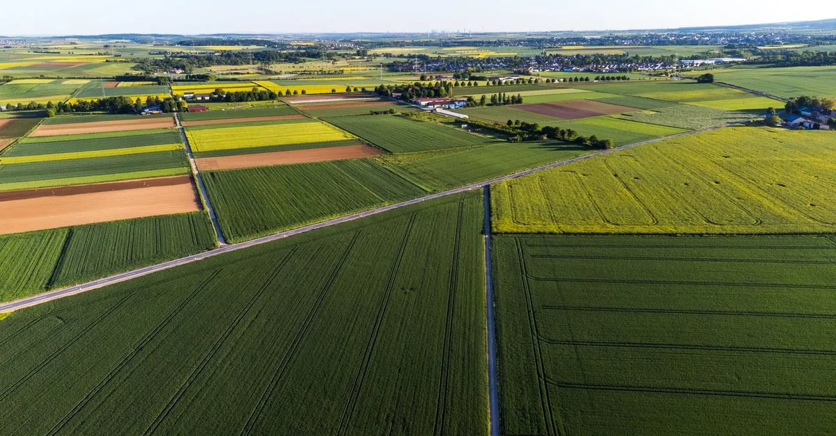 rejoignez le forum de l'agriculture pour échanger, apprendre et partager les dernières actualités, techniques et innovations du monde agricole.