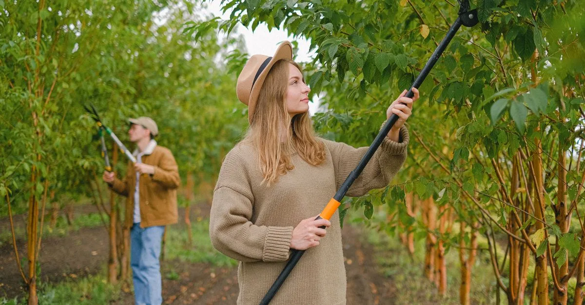 découvrez les meilleures techniques d'élagage pour entretenir vos arbres et arbustes, favoriser leur croissance et améliorer la santé de votre jardin.