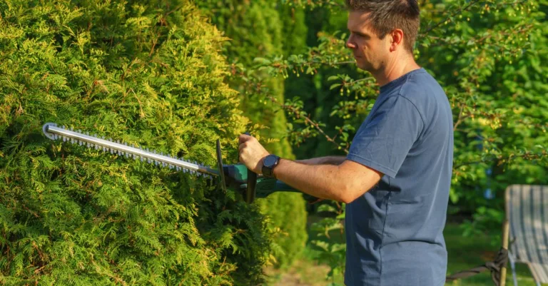 découvrez les meilleures techniques d'élagage pour entretenir vos arbres et arbustes, favoriser leur croissance et embellir votre jardin.