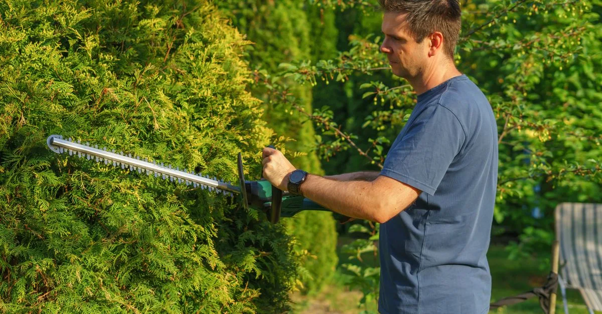 découvrez les meilleures techniques d'élagage pour entretenir vos arbres et arbustes, favoriser leur croissance et embellir votre jardin.