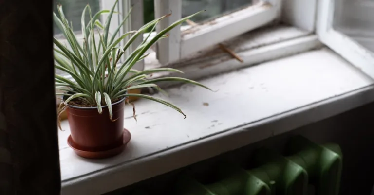 peinture pour radiateur : choisissez une peinture spéciale résistante à la chaleur pour redonner un coup de neuf à vos radiateurs tout en protégeant leur surface.