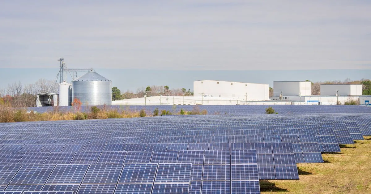 découvrez nos panneaux solaires de haute qualité pour une énergie renouvelable, économique et respectueuse de l'environnement.